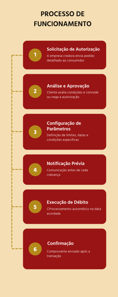Processo de Funcionamento - Pix Automático